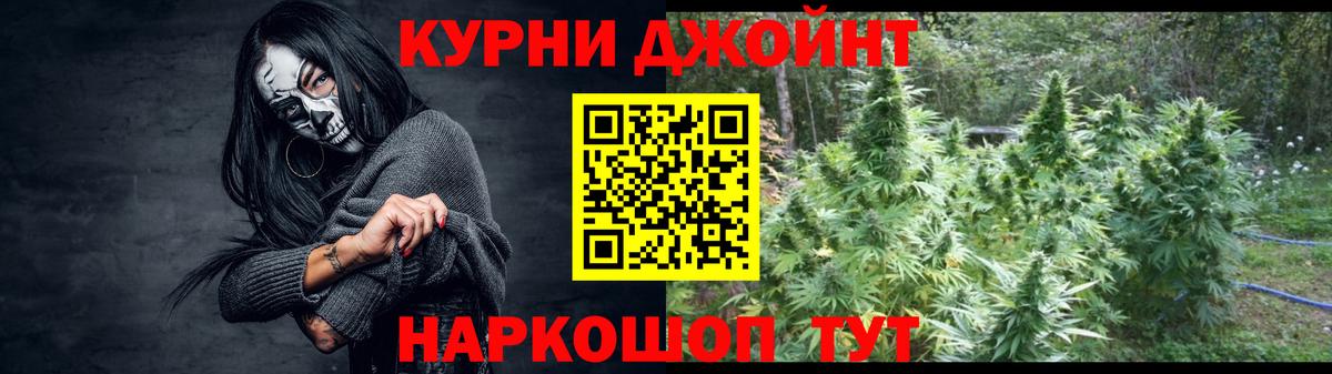 Шишки марихуана семена  Вход с VPN  Гудермес  Марихуана гибрид  Шишки марихуана индика  Марихуана сатива 